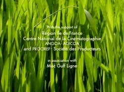 خیلی خیلی کوچک (1) (این دنیای خشن)